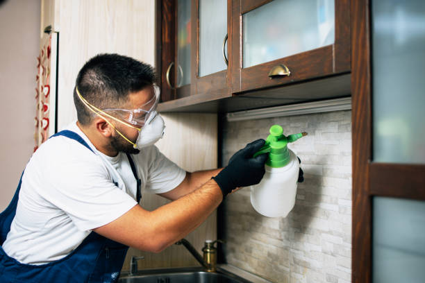 Best Commercial Pest Control Services  in Experiment, GA
