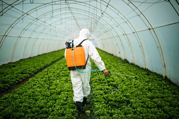 Best Pest Control Near Me  in Experiment, GA