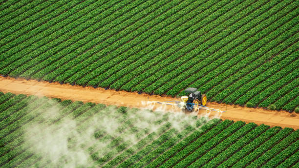 Best Pest Removal Services  in Experiment, GA