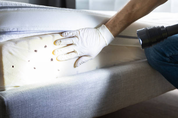 Experiment, GA Pest Control Company