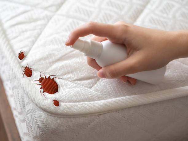 Best Pest Control for Restaurants  in Experiment, GA