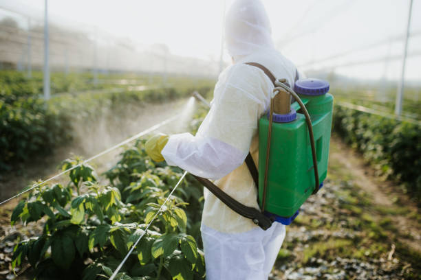 Pest Prevention Services in Experiment, GA